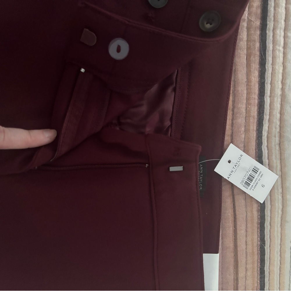 Ann Taylor Burgundy Pants